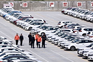 筑牢安全防火墻 消防安全檢查走進(jìn)新疆最大商品汽車專業(yè)貨場(chǎng)